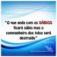 /album/projeto-semeando-a-palavra-de-deus/proverbios-13-20-jpg/